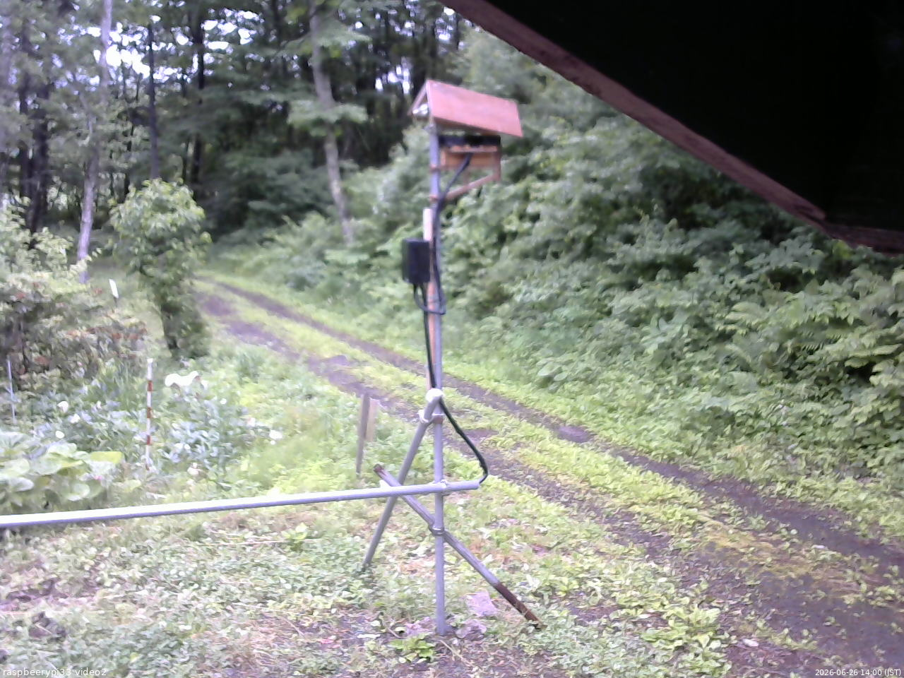 長野県菅平高原 ゆたか山荘 南側 2026/06/26 14:00