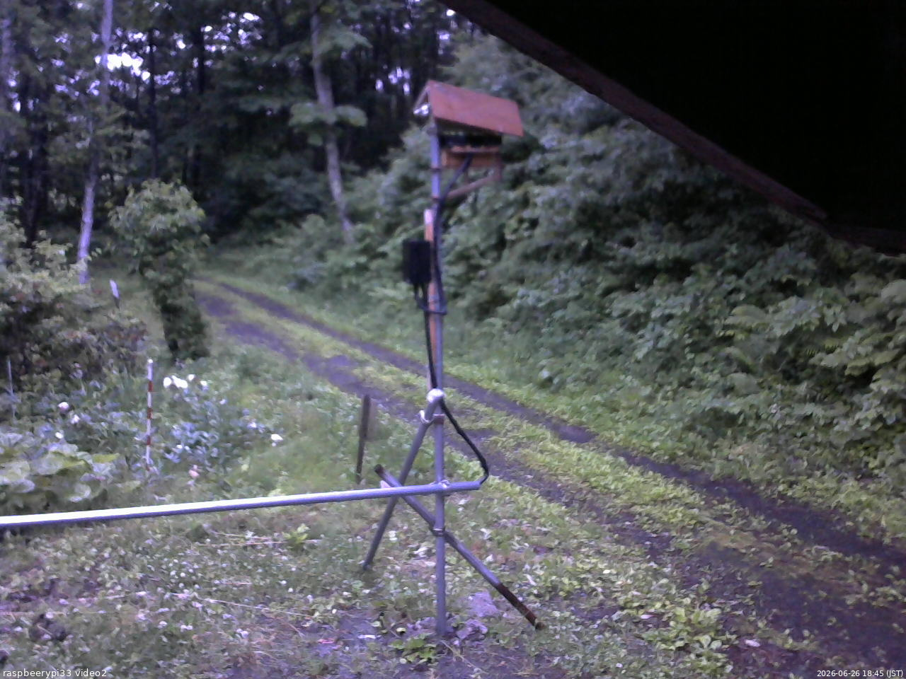 長野県菅平高原 ゆたか山荘 南側 2026/06/26 18:45