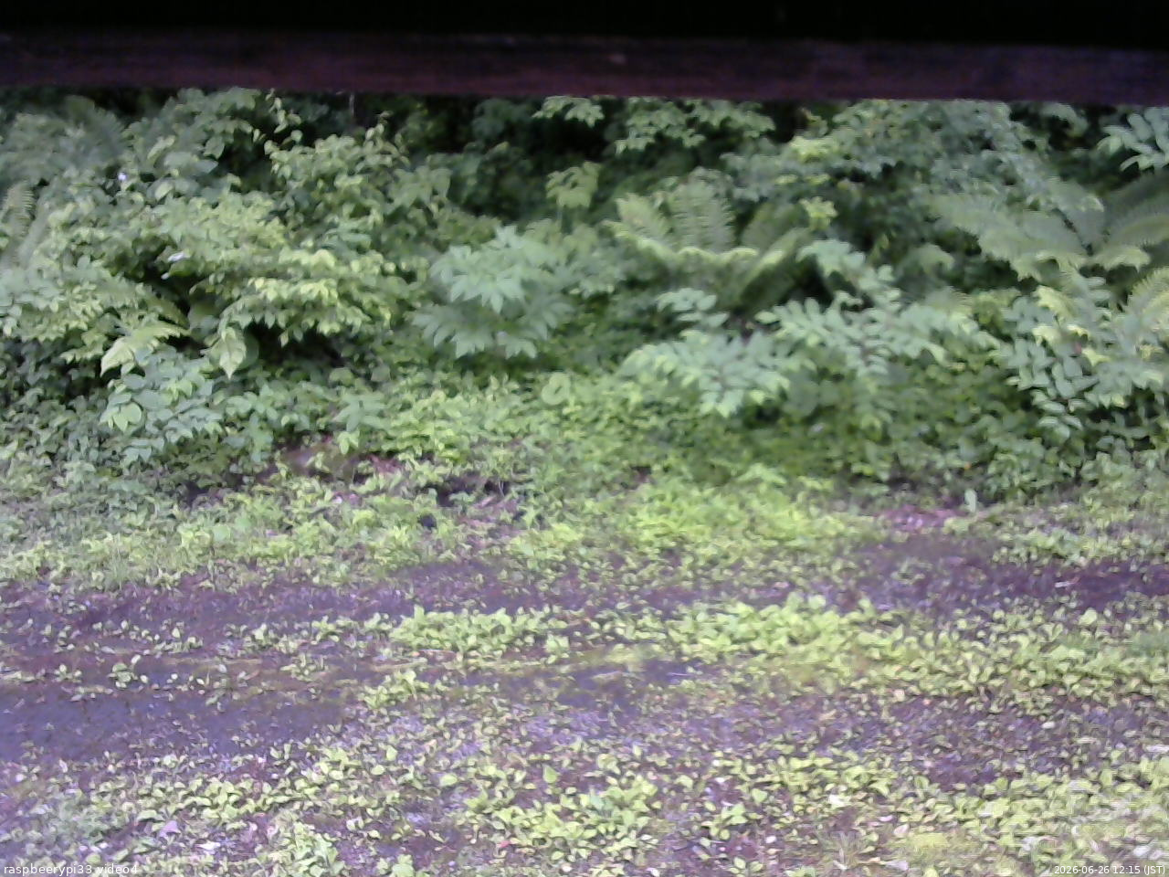 長野県菅平高原 ゆたか山荘 東側(坂下) 2026/06/26 12:15