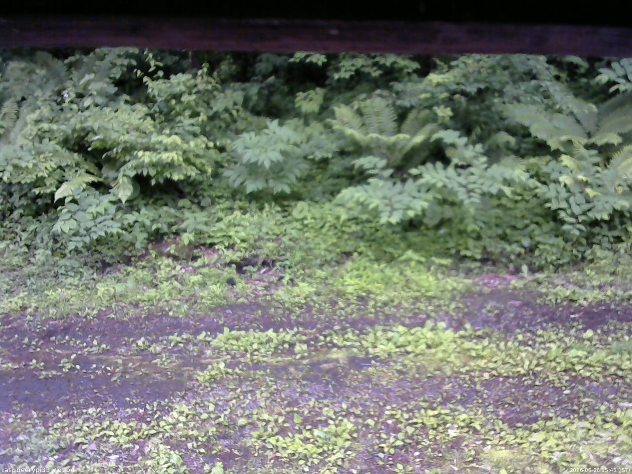 長野県菅平高原 ゆたか山荘 東側(坂下) 2026/06/26 15:45