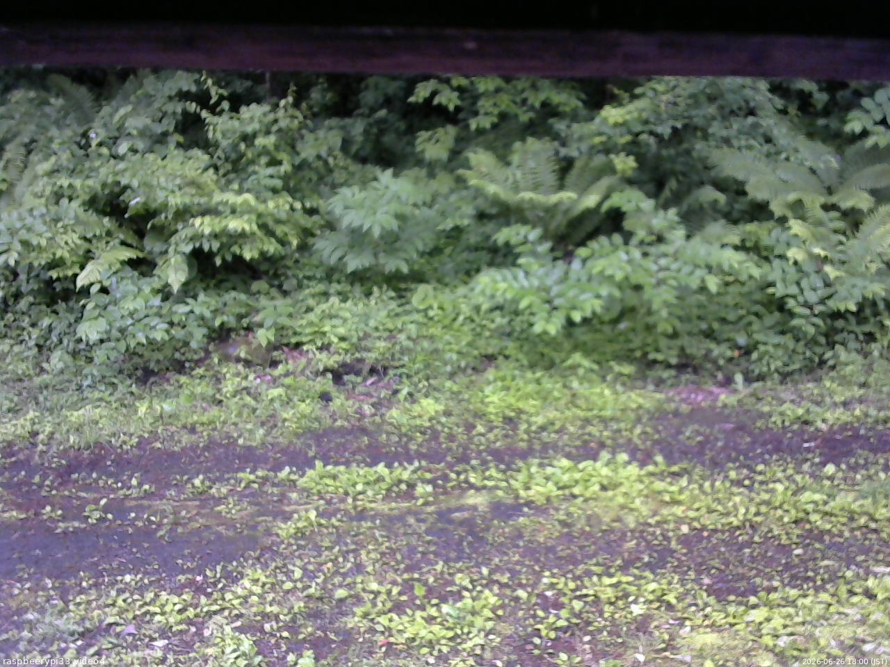 長野県菅平高原 ゆたか山荘 東側(坂下) 2026/06/26 18:00