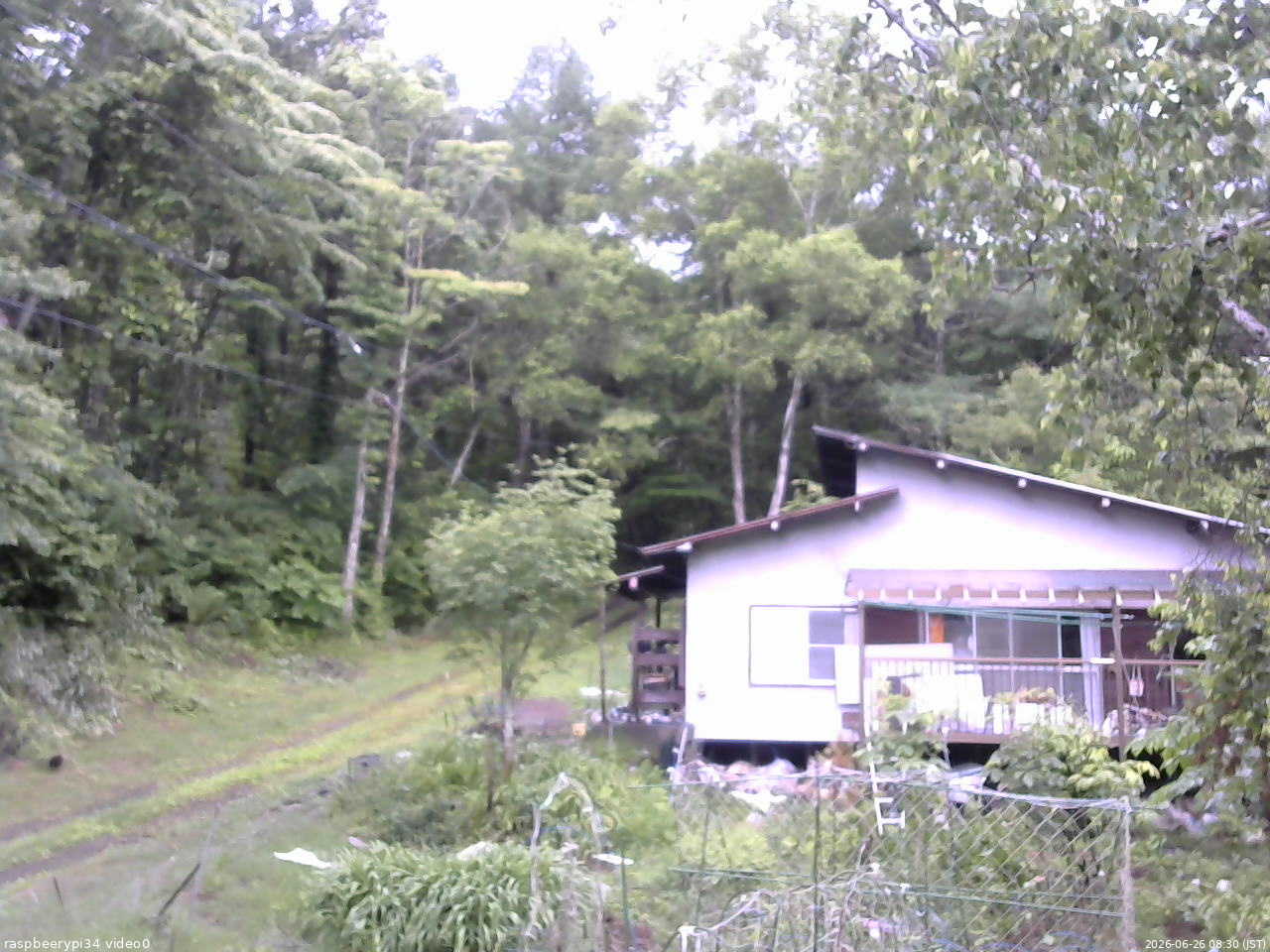 長野県菅平高原 ゆたか山荘 西側(坂上) 2026/06/26 08:30