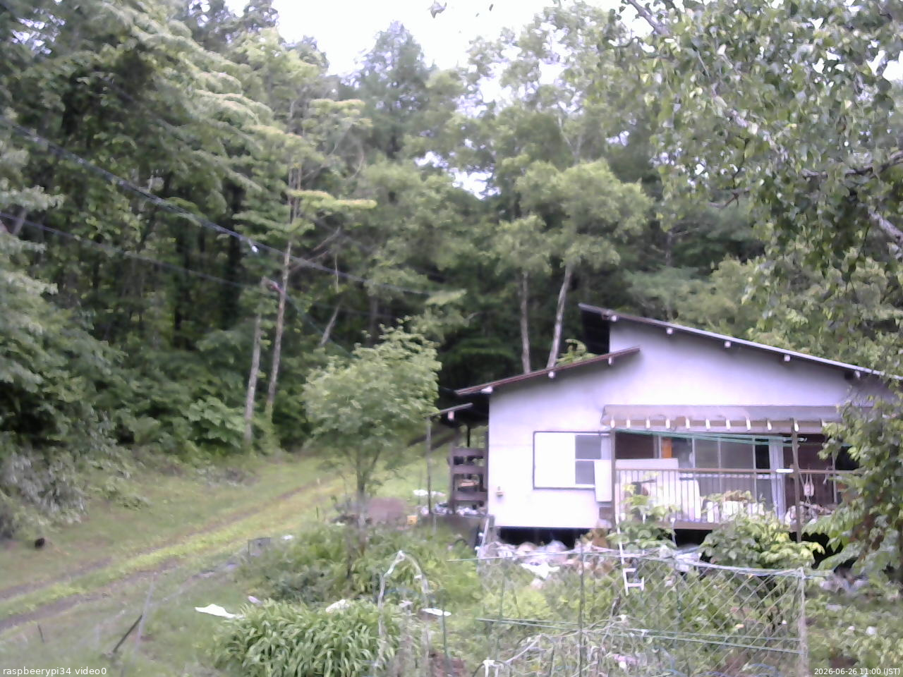 長野県菅平高原 ゆたか山荘 西側(坂上) 2026/06/26 11:00