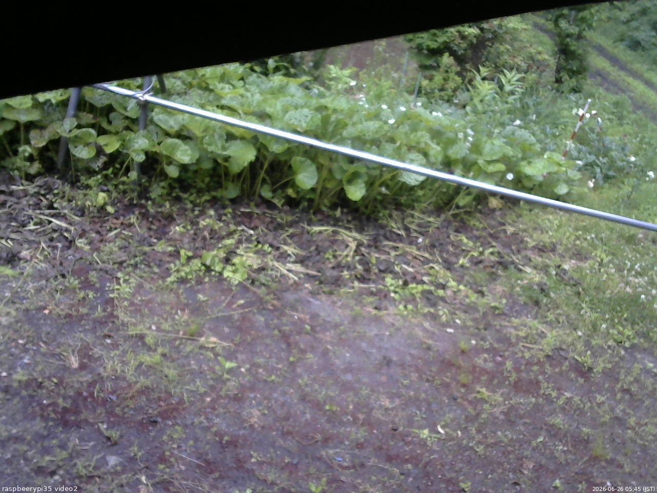 長野県菅平高原 ゆたか山荘 駐車場 2026/06/26 05:45