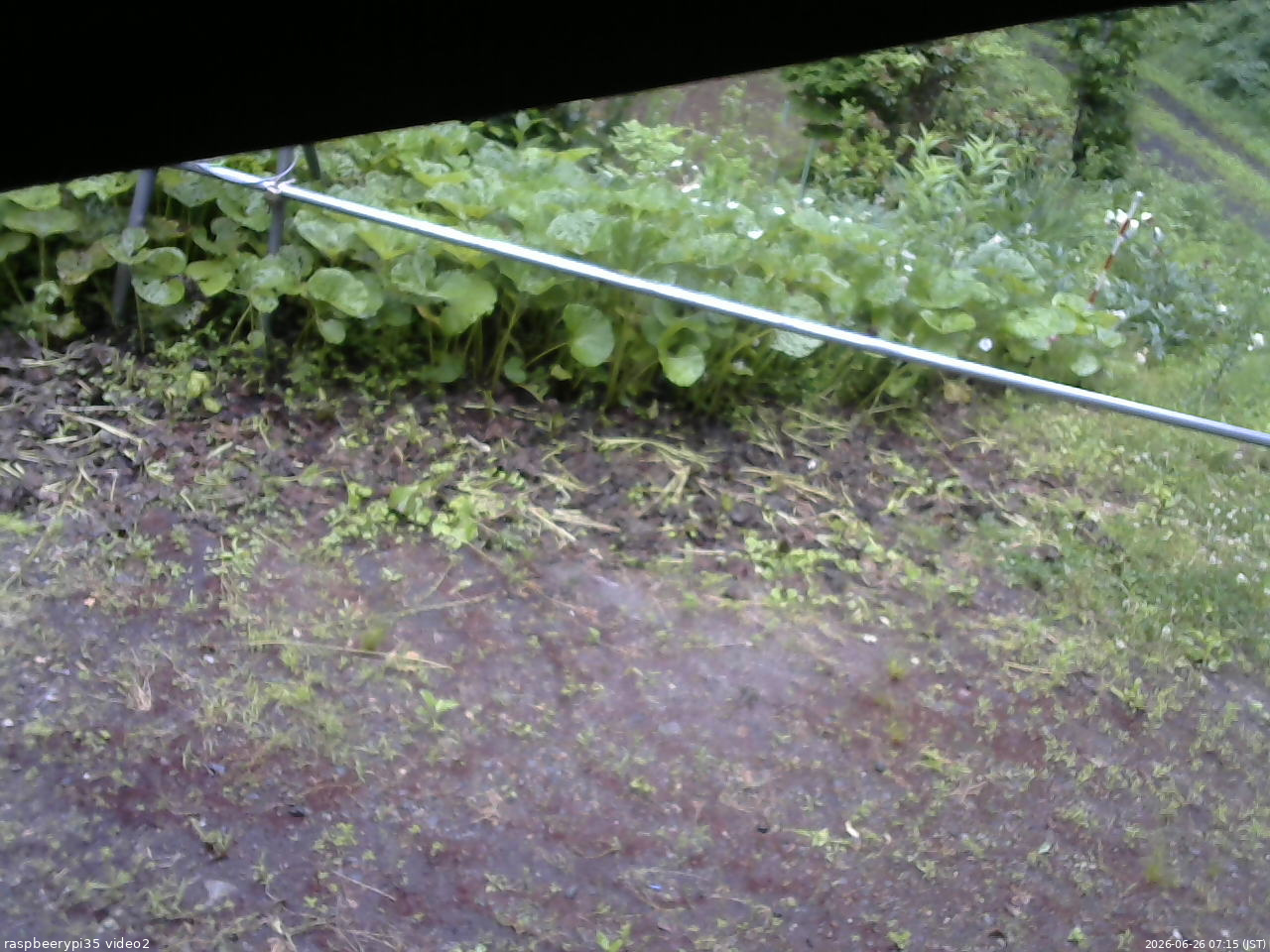 長野県菅平高原 ゆたか山荘 駐車場 2026/06/26 07:15