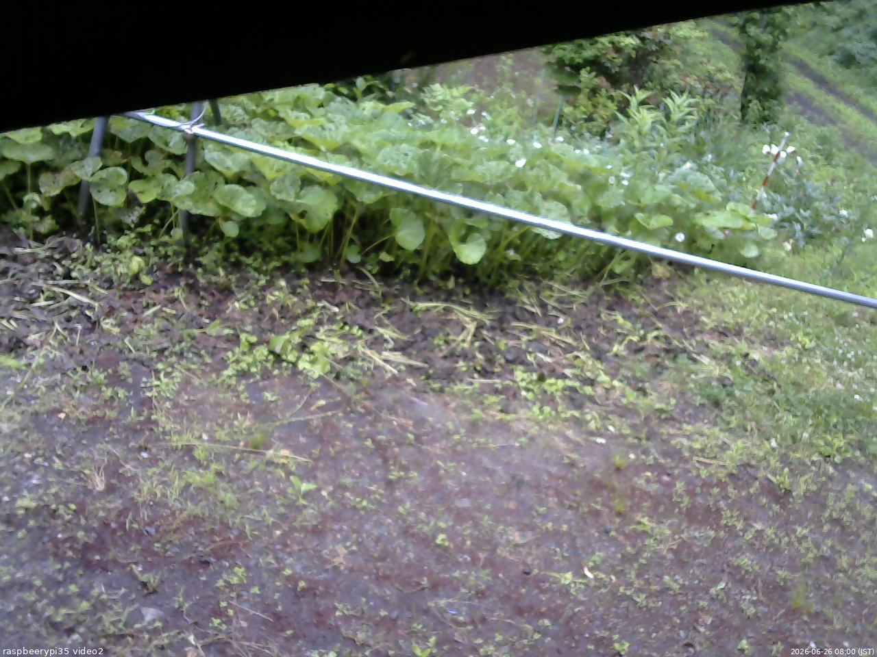 長野県菅平高原 ゆたか山荘 駐車場 2026/06/26 08:00