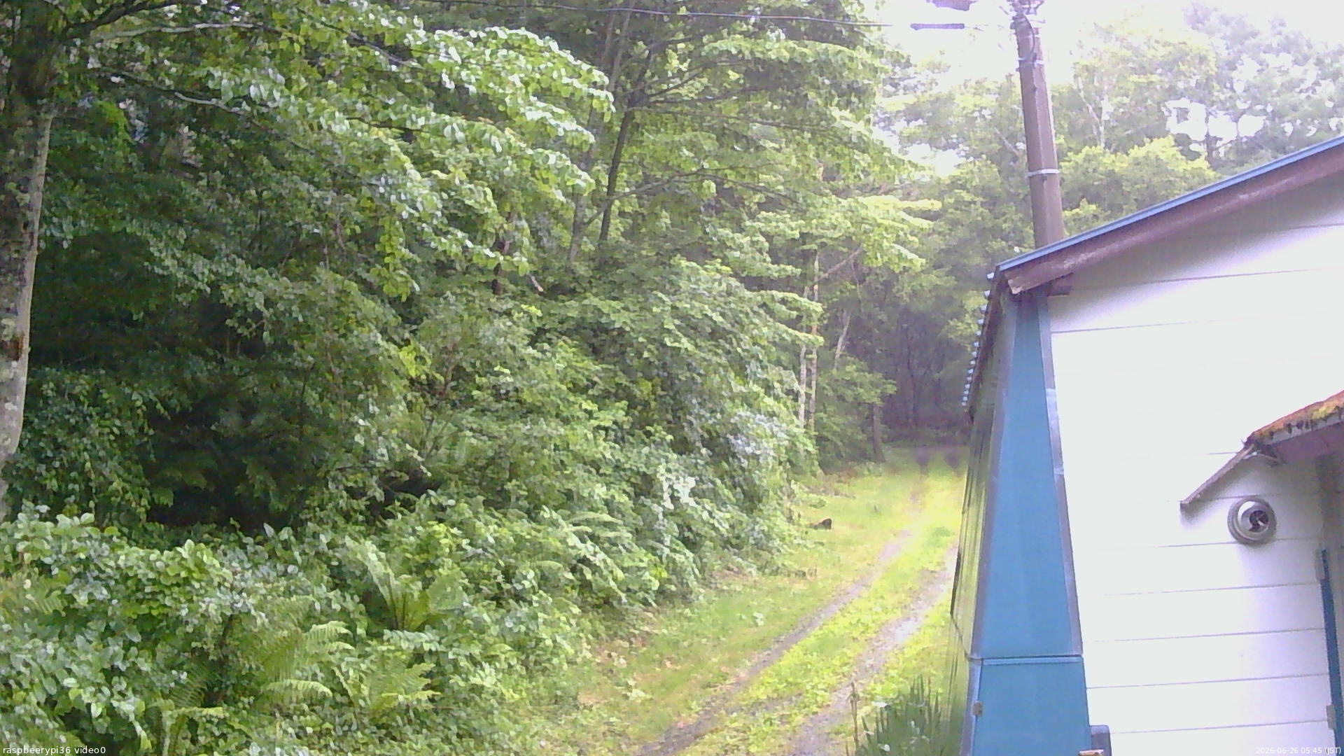 長野県菅平高原 ゆたか山荘 ゆたか山荘 2026/06/26 05:45