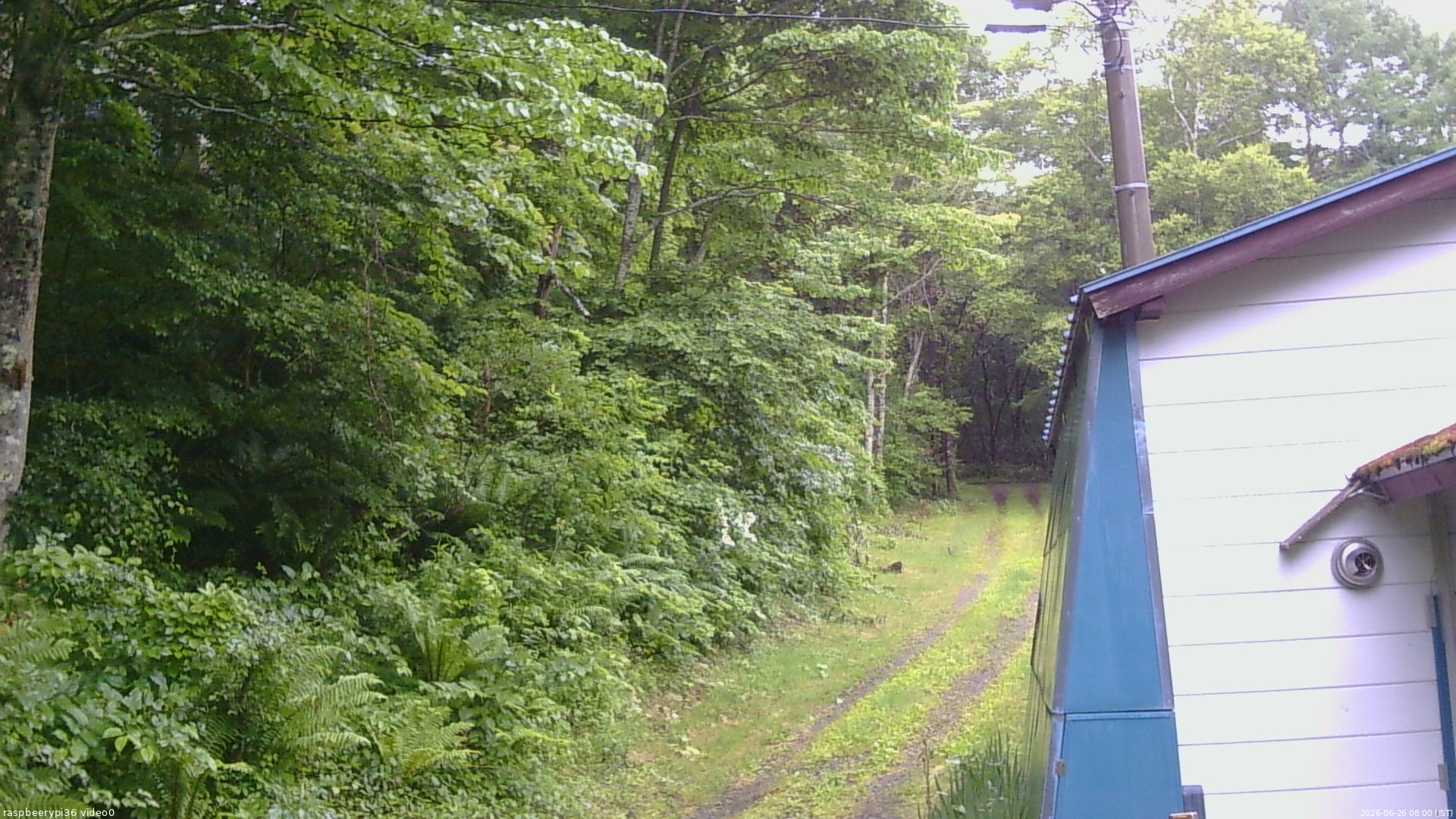 長野県菅平高原 ゆたか山荘 ゆたか山荘 2026/06/26 08:00