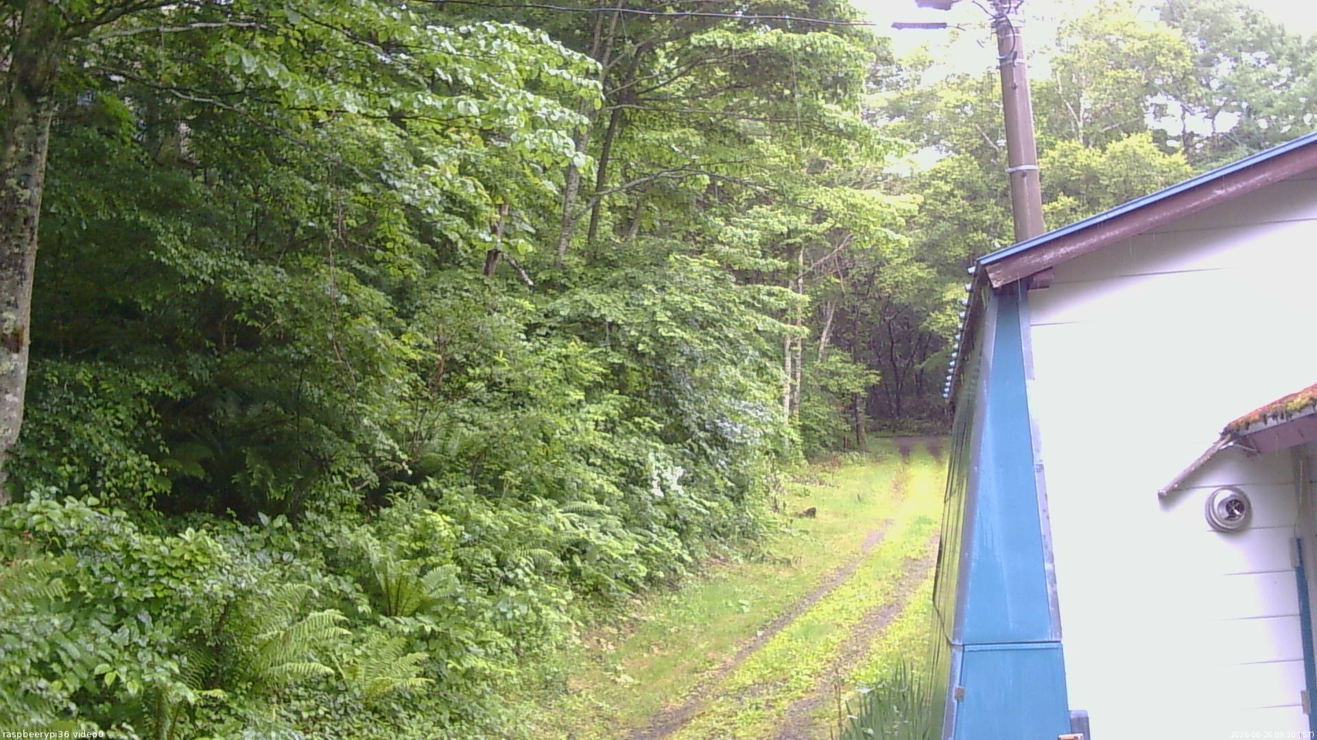 長野県菅平高原 ゆたか山荘 ゆたか山荘 2026/06/26 09:30