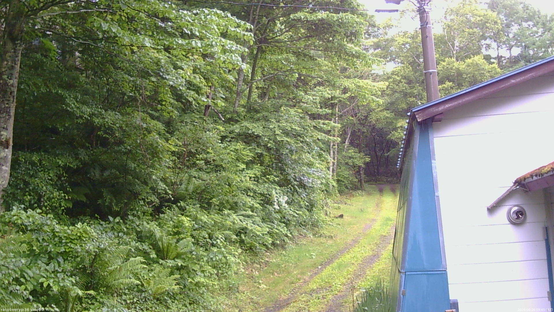 長野県菅平高原 ゆたか山荘 ゆたか山荘 2026/06/26 09:45