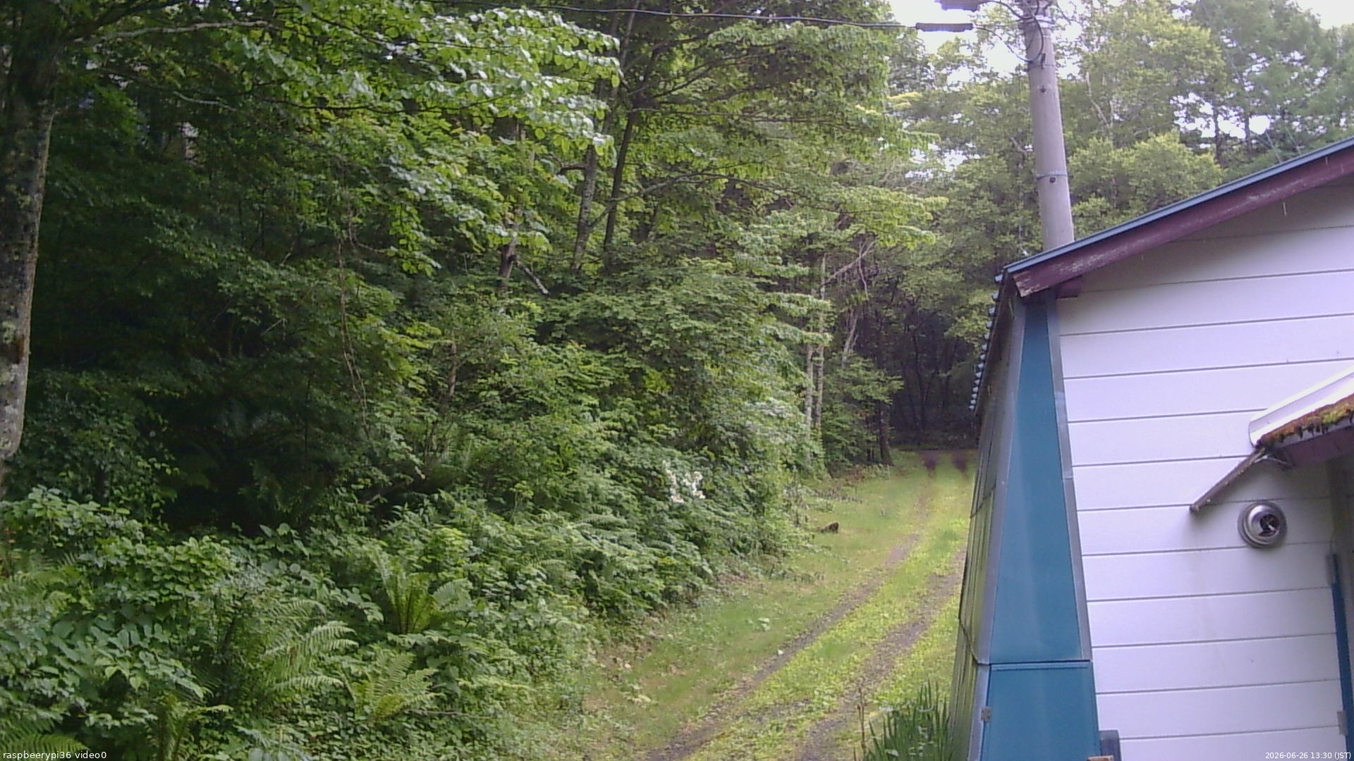 長野県菅平高原 ゆたか山荘 ゆたか山荘 2026/06/26 13:30