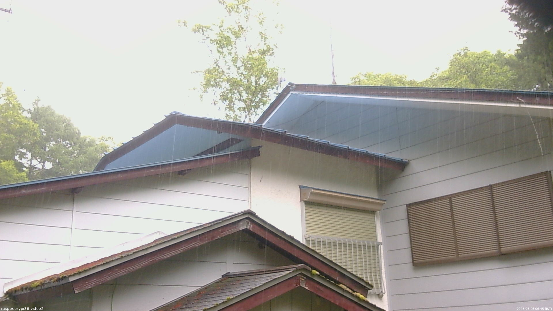 長野県菅平高原 ゆたか山荘 駐車場奥 2026/06/26 06:45