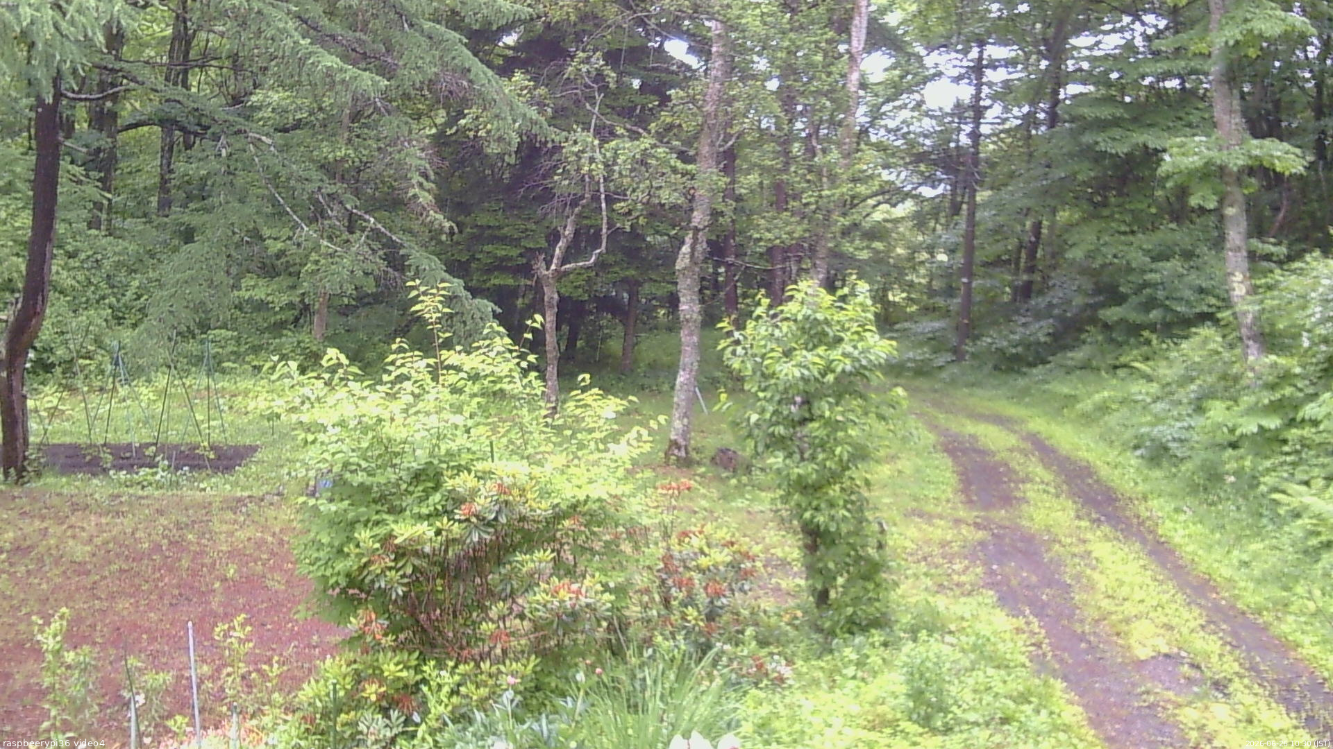 長野県菅平高原 ゆたか山荘 坂上 2026/06/26 10:30