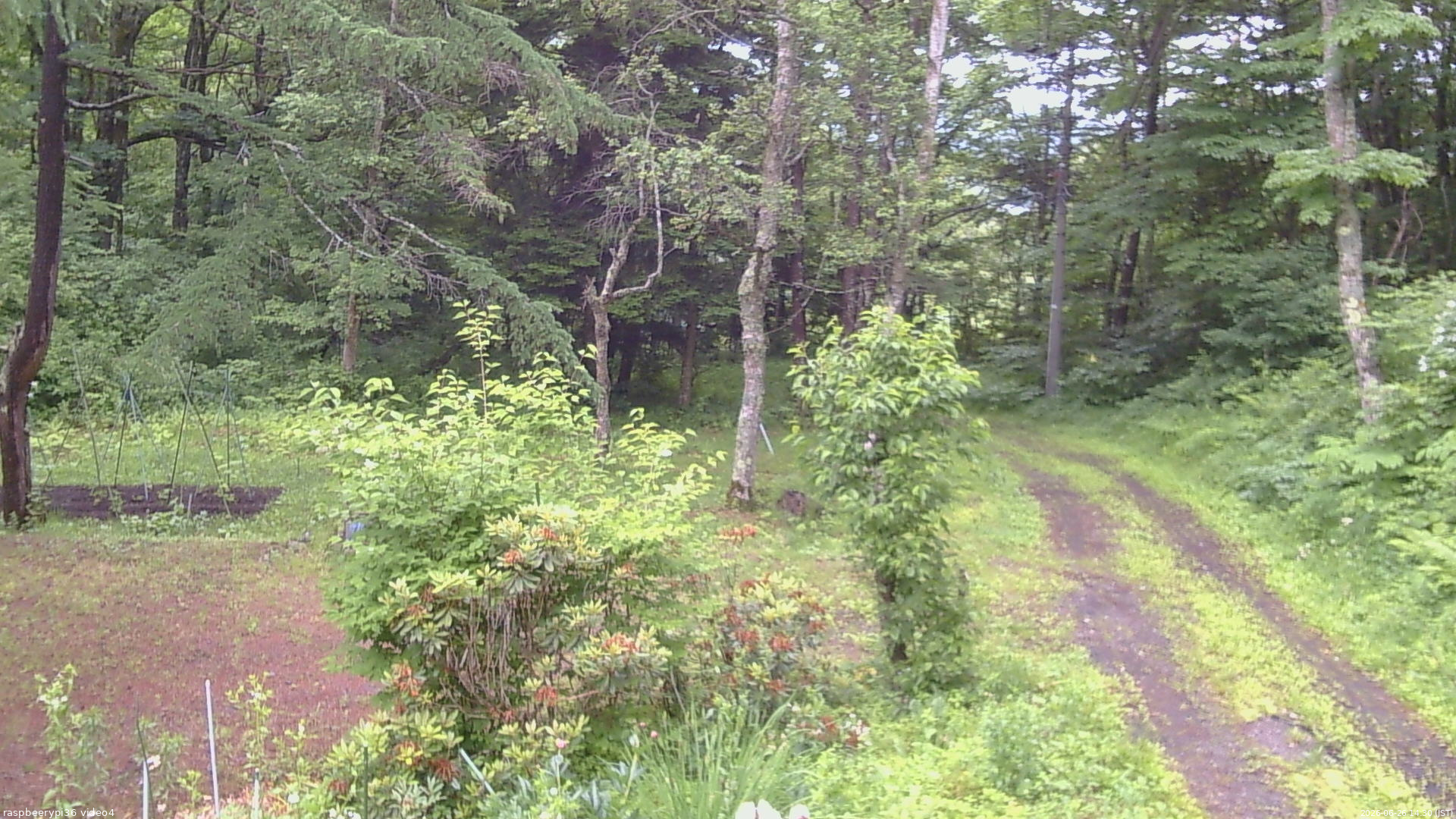 長野県菅平高原 ゆたか山荘 坂上 2026/06/26 14:30