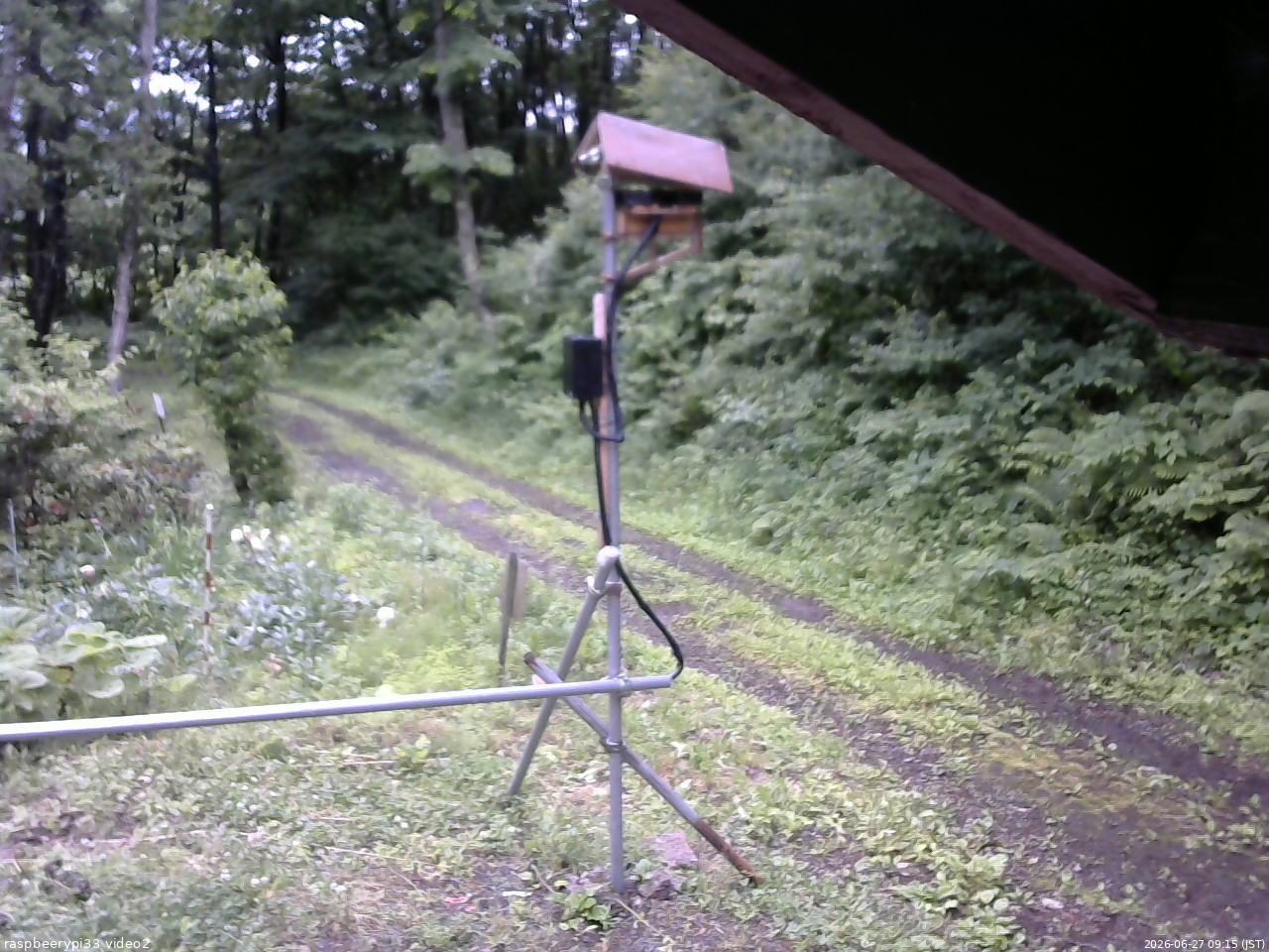 長野県菅平高原 ゆたか山荘 南側 2026/06/27 09:15