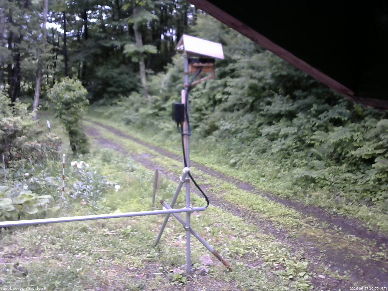 長野県菅平高原 ゆたか山荘 南側 2026/06/27 10:00