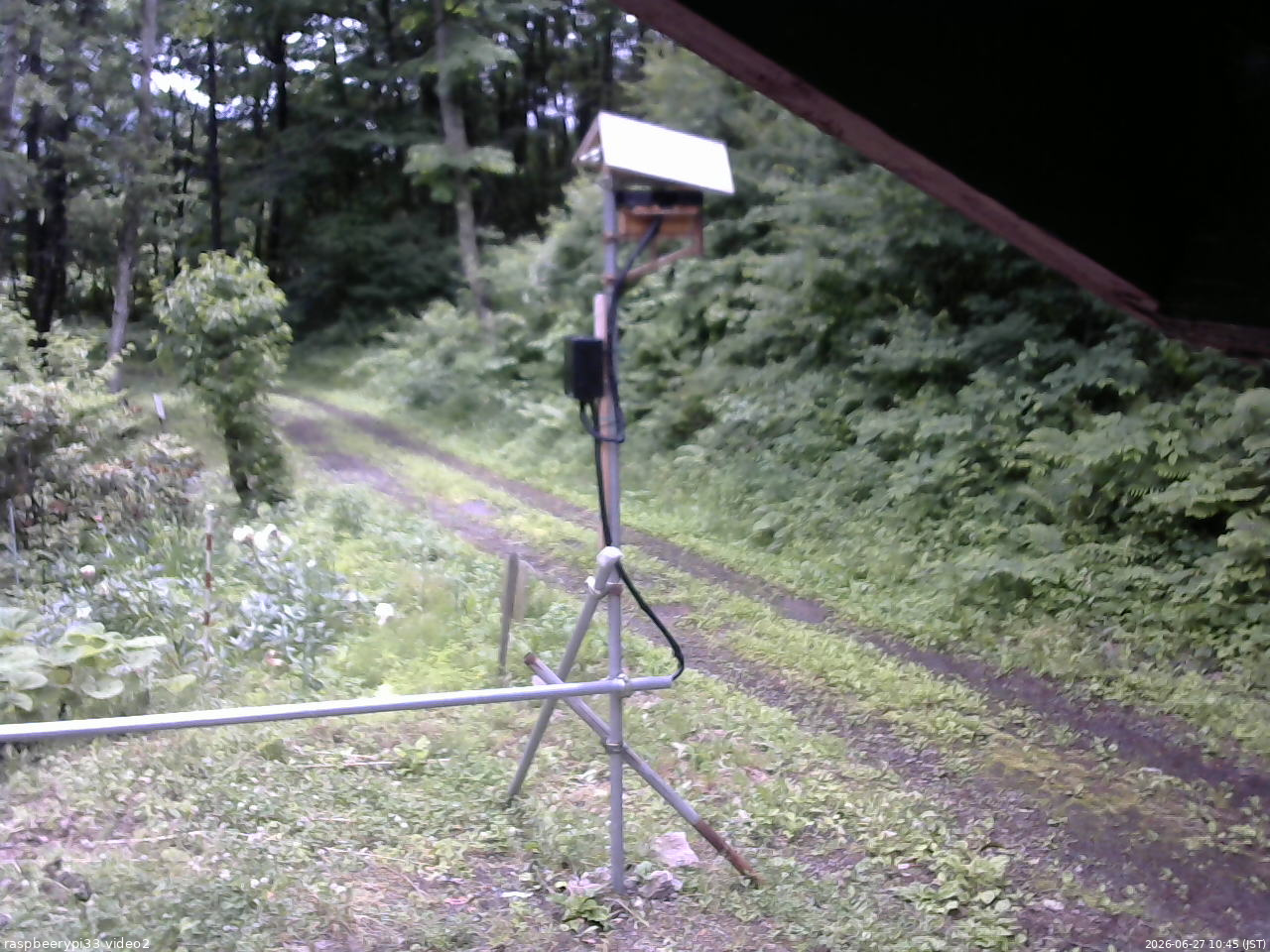 長野県菅平高原 ゆたか山荘 南側 2026/06/27 10:45