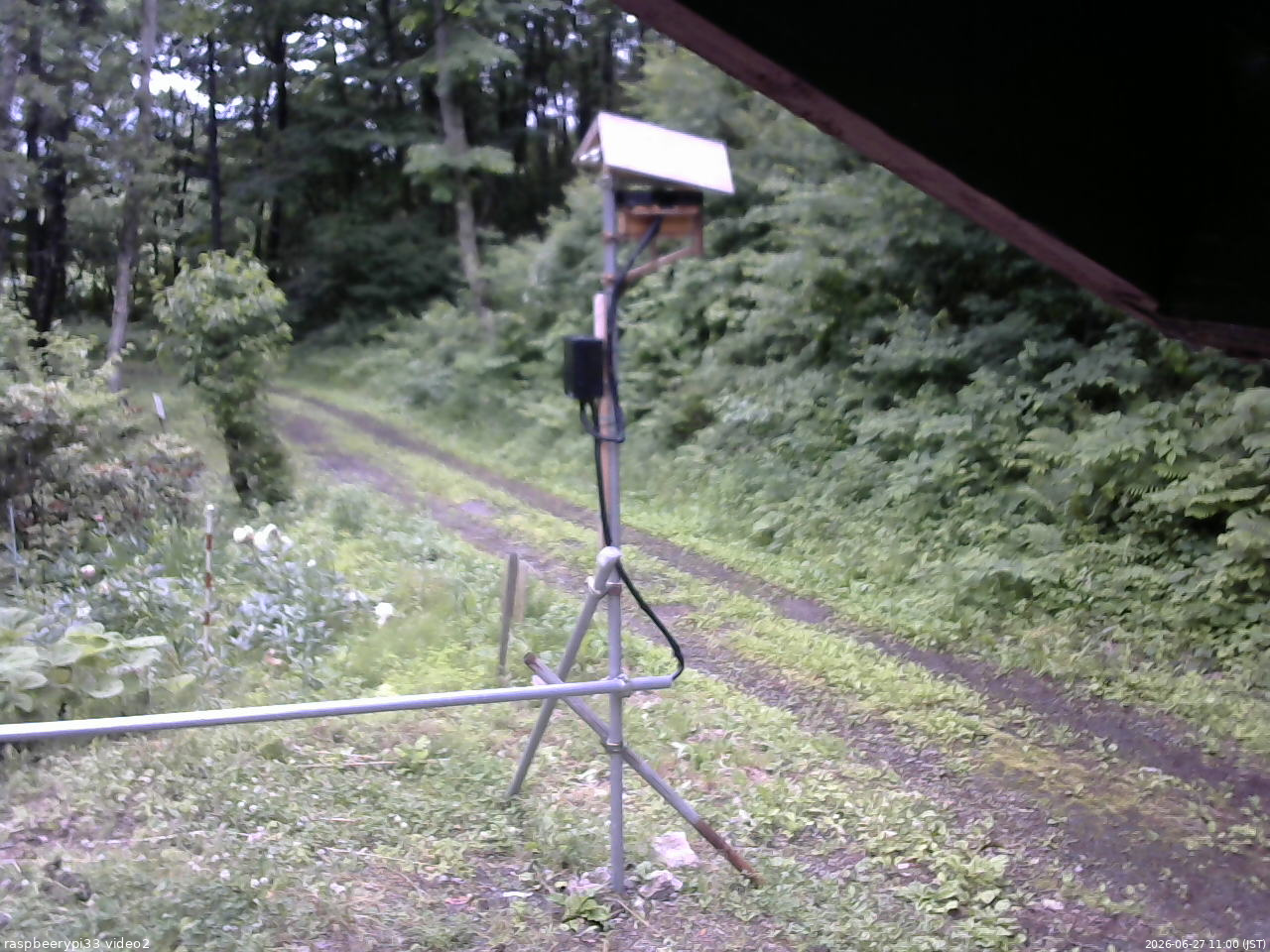 長野県菅平高原 ゆたか山荘 南側 2026/06/27 11:00