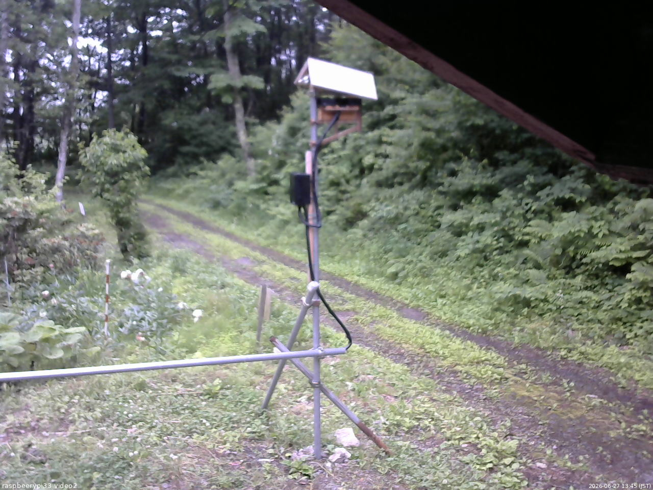 長野県菅平高原 ゆたか山荘 南側 2026/06/27 13:45