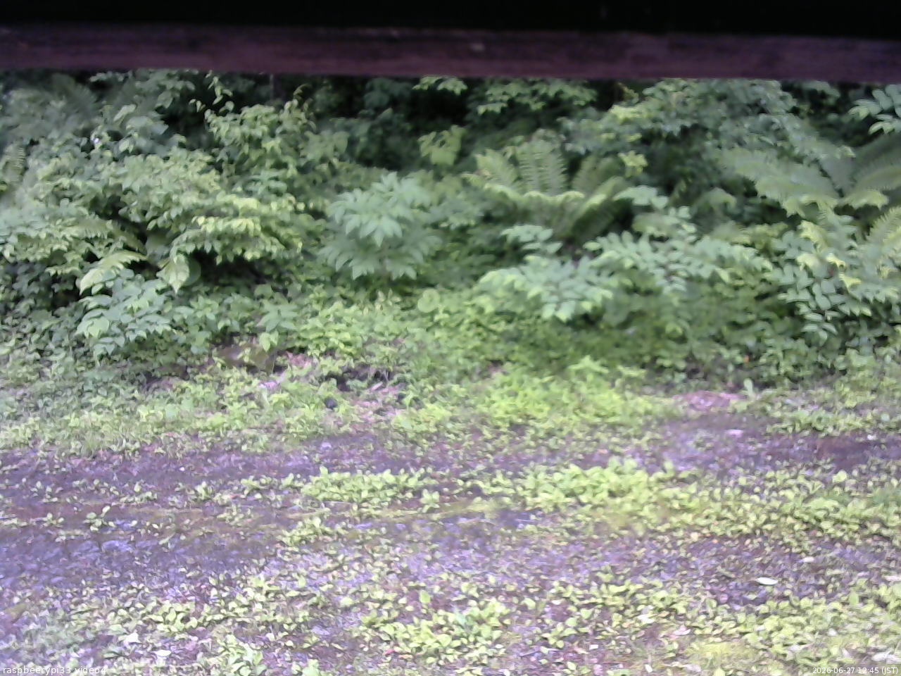 長野県菅平高原 ゆたか山荘 東側(坂下) 2026/06/27 12:45