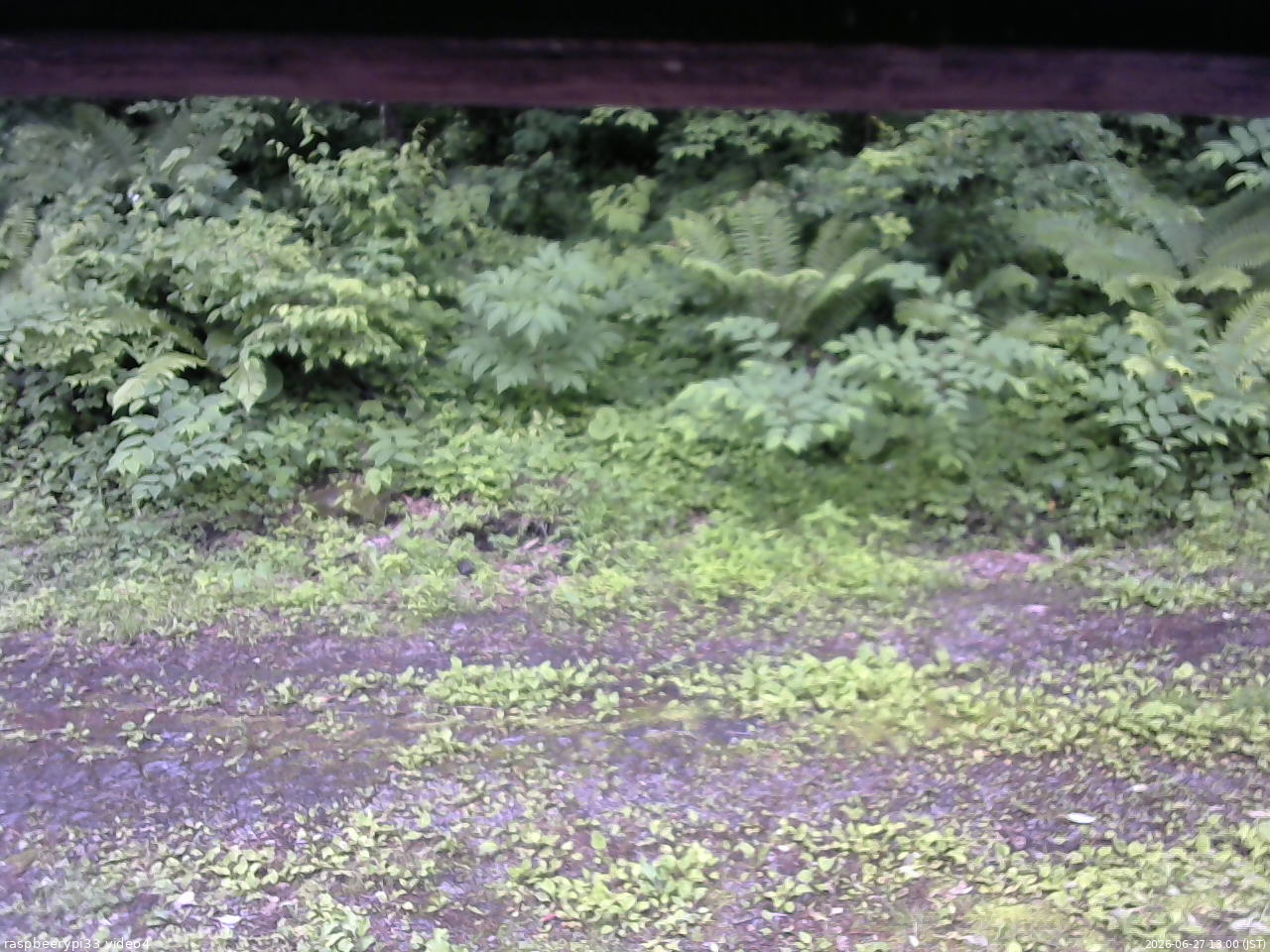 長野県菅平高原 ゆたか山荘 東側(坂下) 2026/06/27 13:00