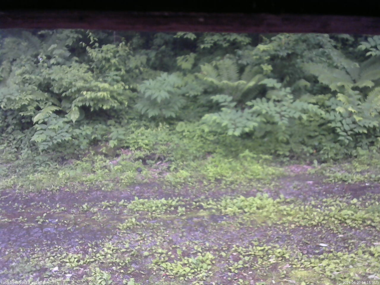 長野県菅平高原 ゆたか山荘 東側(坂下) 2026/06/27 14:15
