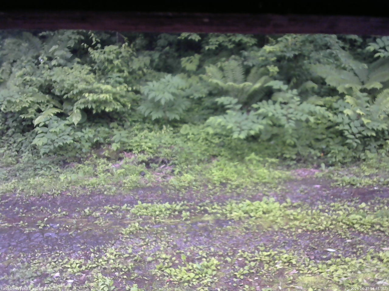 長野県菅平高原 ゆたか山荘 東側(坂下) 2026/06/27 14:45