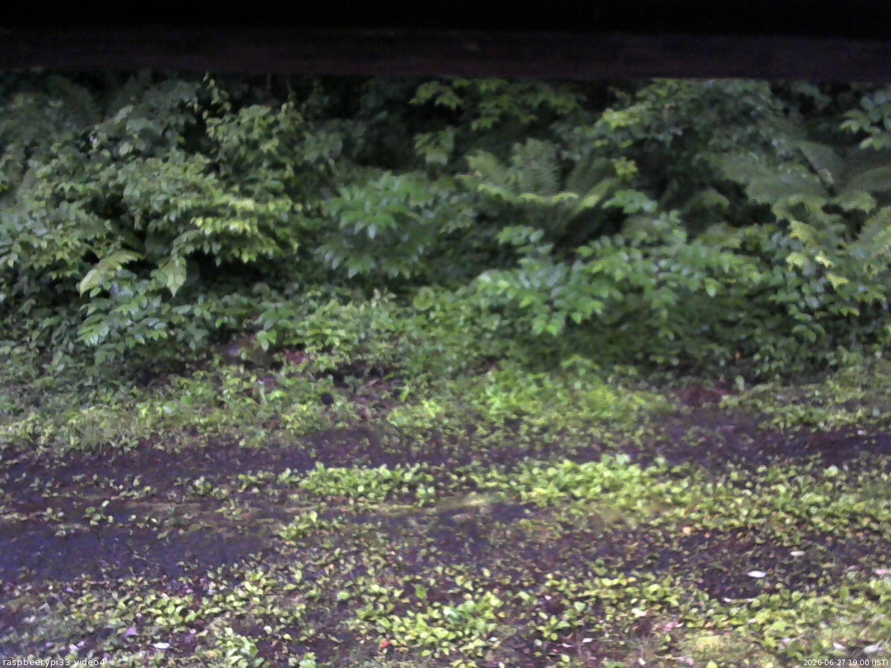 長野県菅平高原 ゆたか山荘 東側(坂下) 2026/06/27 19:00