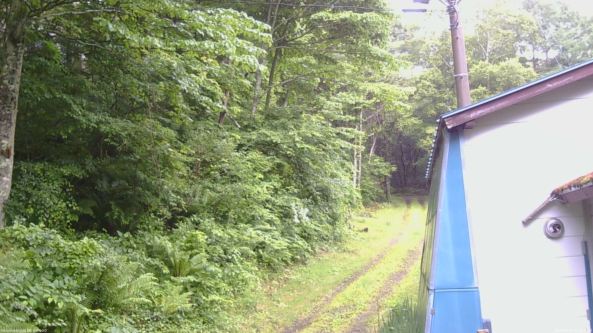 長野県菅平高原 ゆたか山荘 ゆたか山荘 2026/06/27 07:15