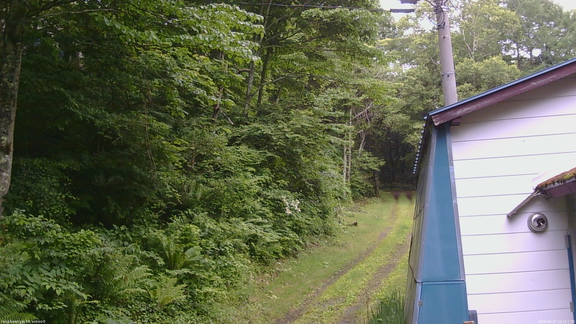 長野県菅平高原 ゆたか山荘 ゆたか山荘 2026/06/27 10:15