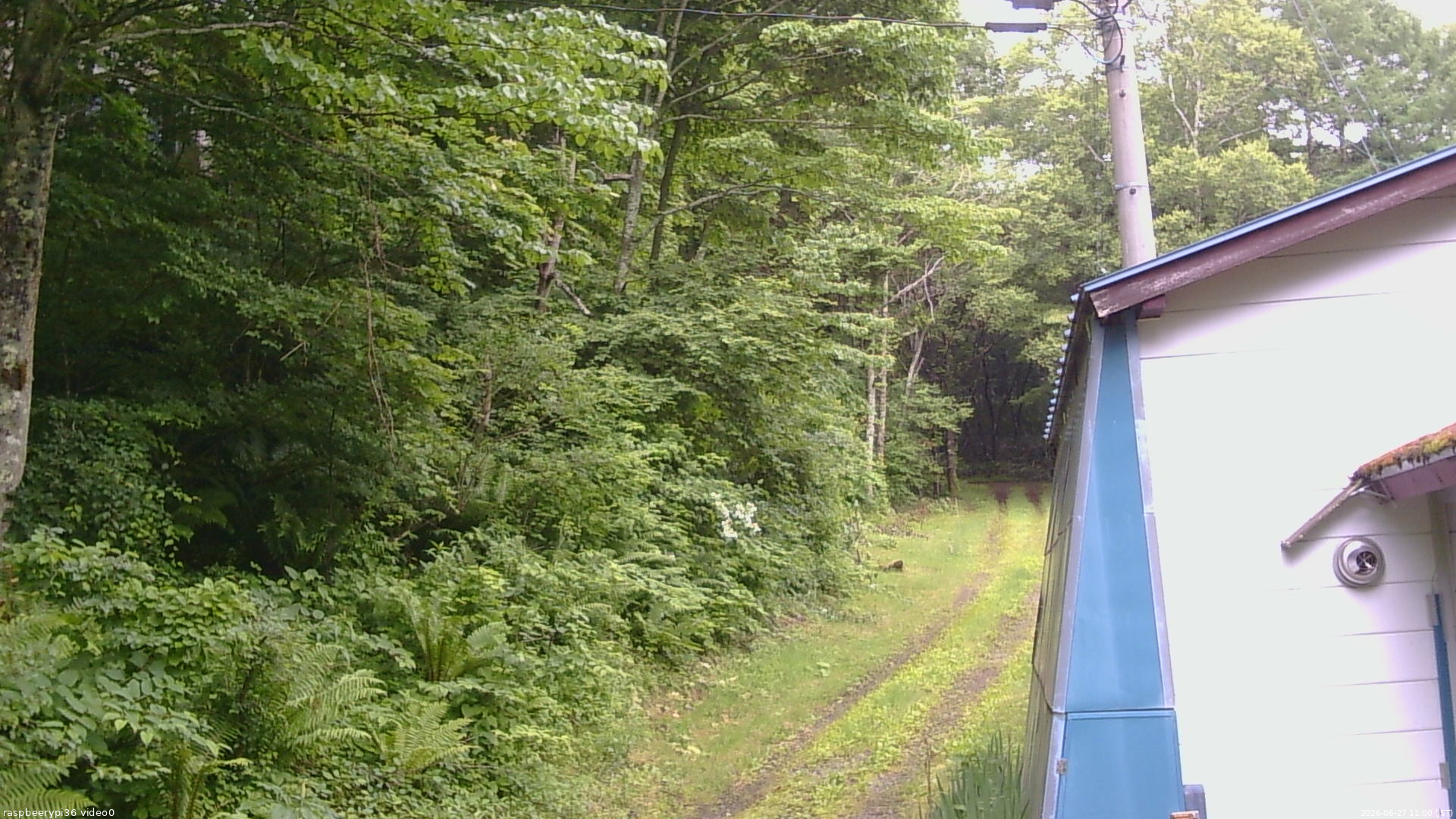 長野県菅平高原 ゆたか山荘 ゆたか山荘 2026/06/27 11:00