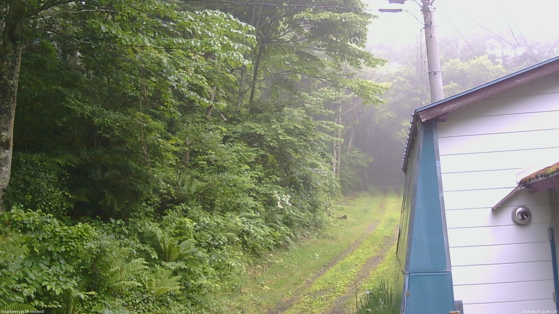 長野県菅平高原 ゆたか山荘 ゆたか山荘 2026/06/27 16:45