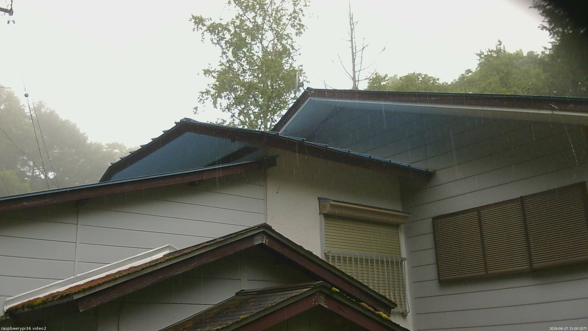 長野県菅平高原 ゆたか山荘 駐車場奥 2026/06/27 15:00
