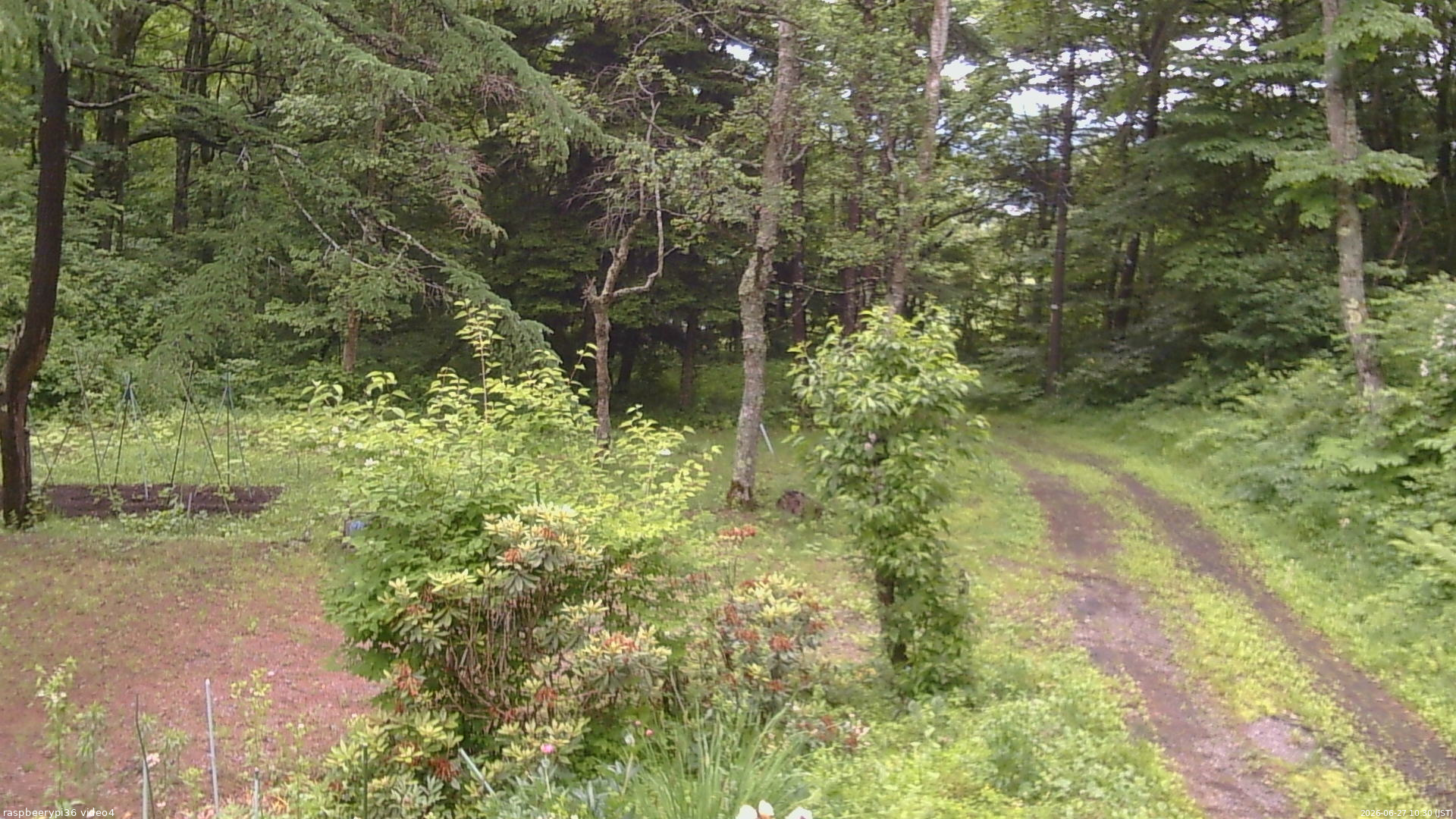 長野県菅平高原 ゆたか山荘 坂上 2026/06/27 10:30