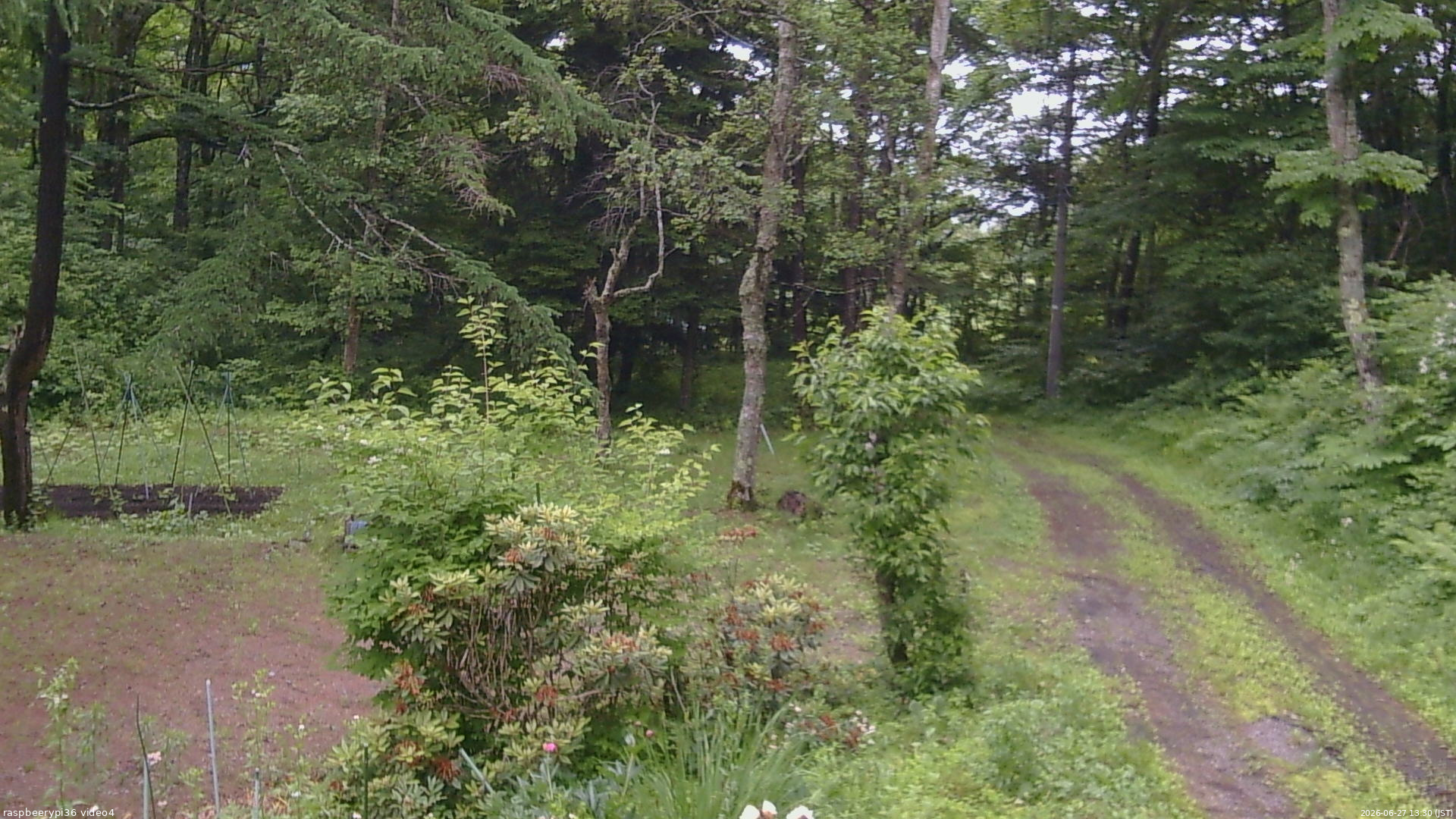 長野県菅平高原 ゆたか山荘 坂上 2026/06/27 13:30