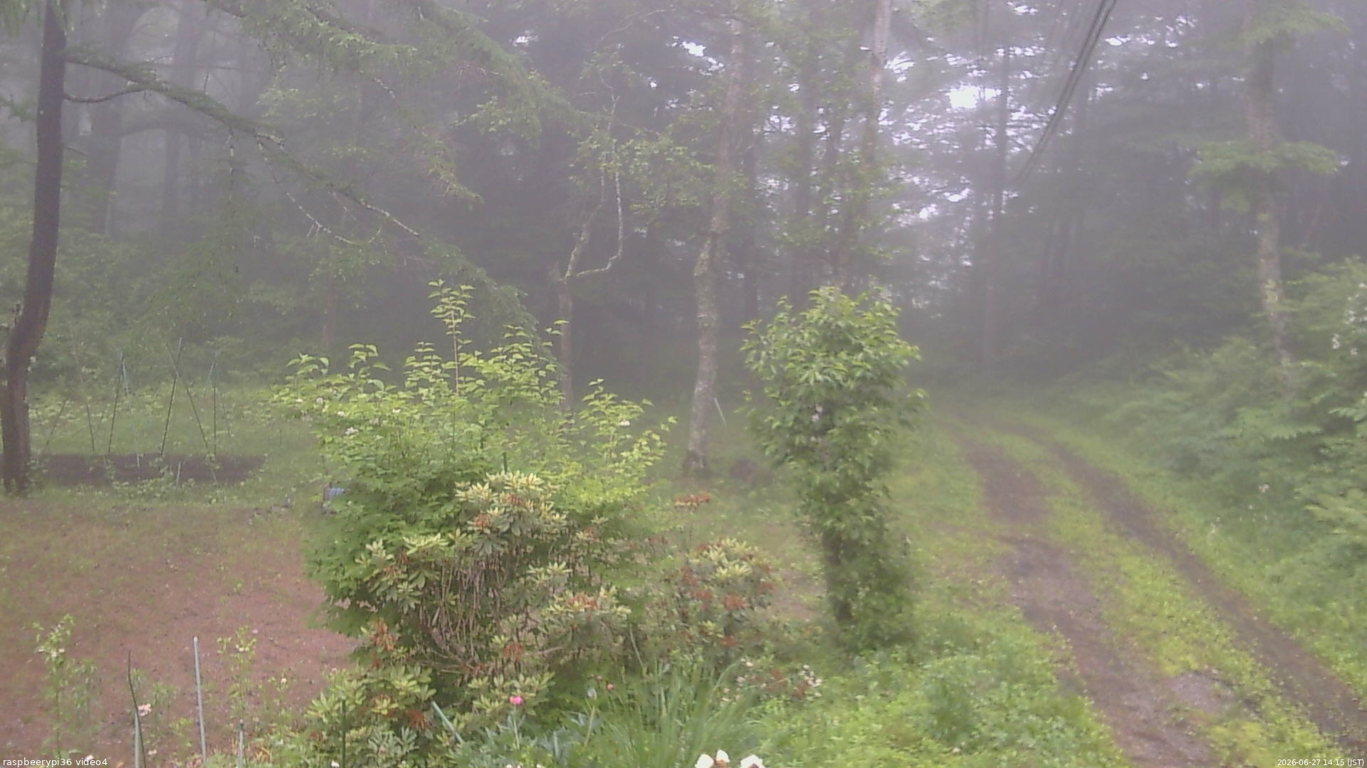 長野県菅平高原 ゆたか山荘 坂上 2026/06/27 14:15
