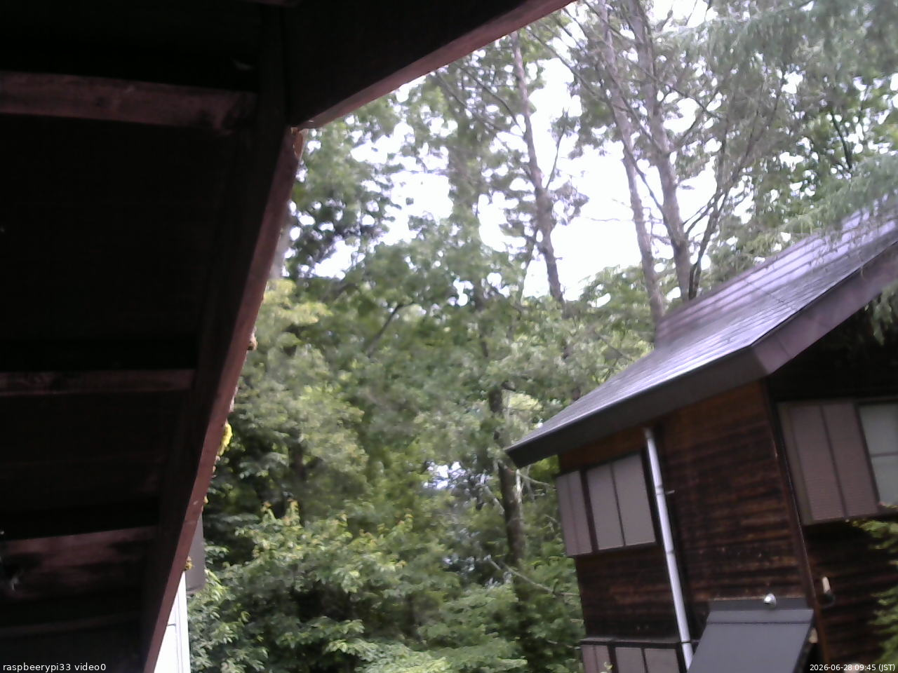 長野県菅平高原 ゆたか山荘 北側 2026/06/28 09:45