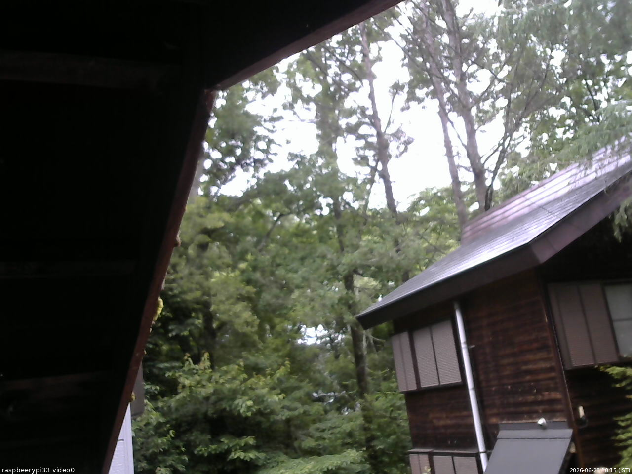 長野県菅平高原 ゆたか山荘 北側 2026/06/28 10:15