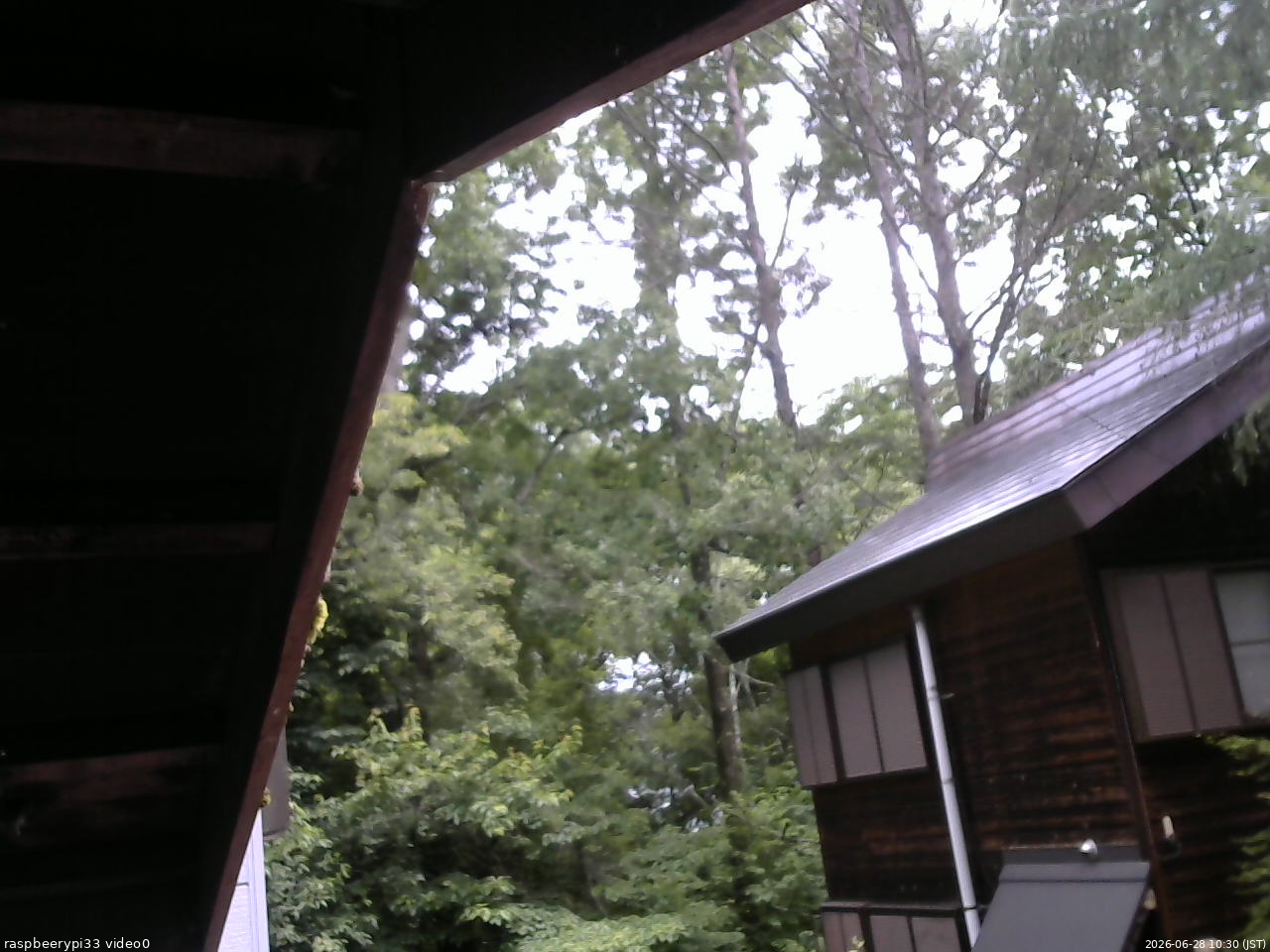 長野県菅平高原 ゆたか山荘 北側 2026/06/28 10:30