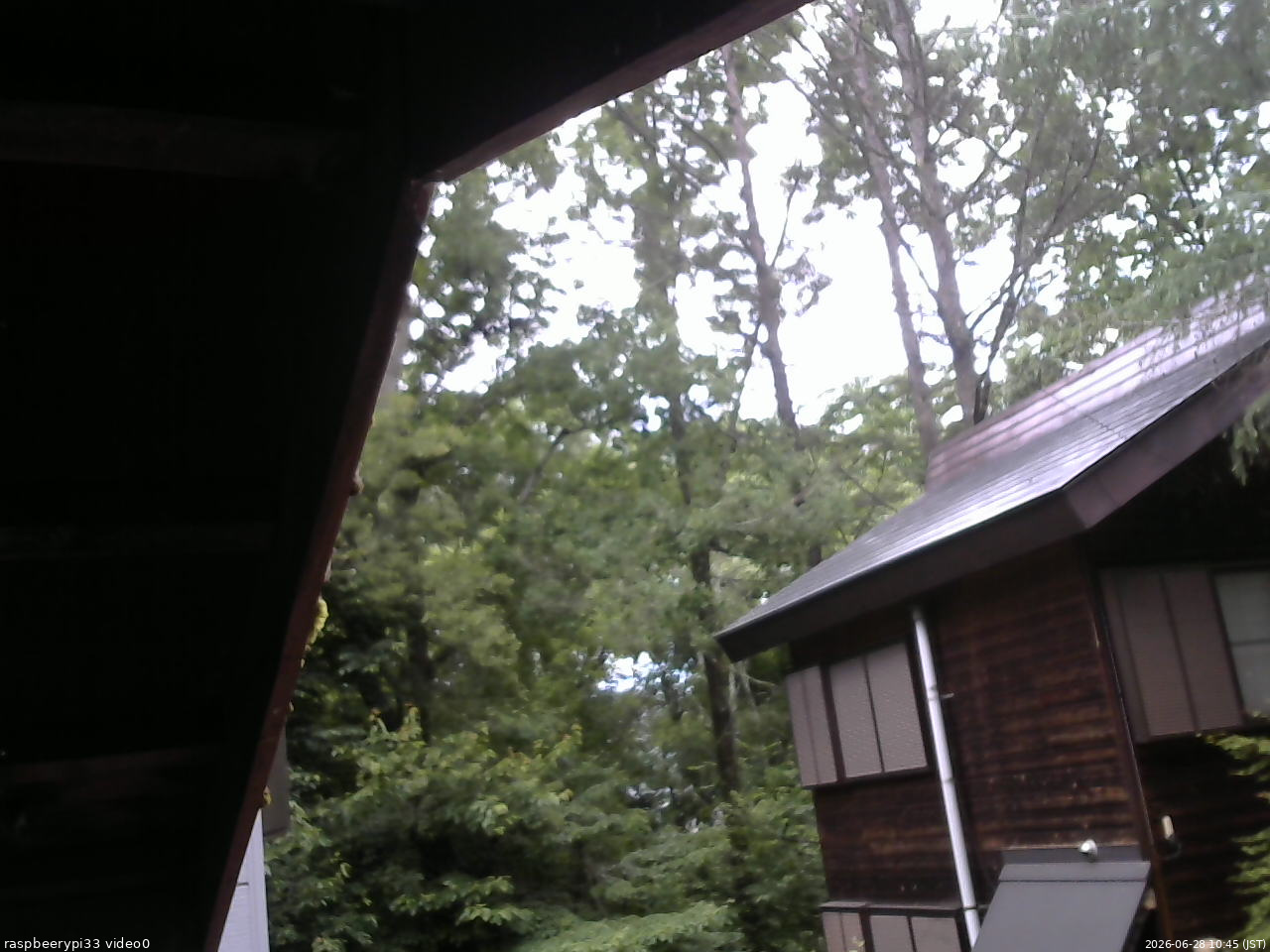 長野県菅平高原 ゆたか山荘 北側 2026/06/28 10:45