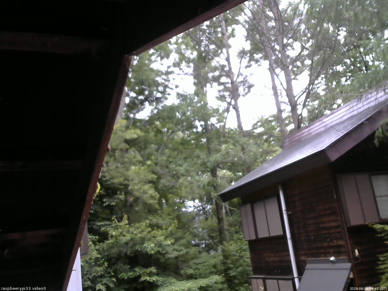 長野県菅平高原 ゆたか山荘 北側 2026/06/28 14:45