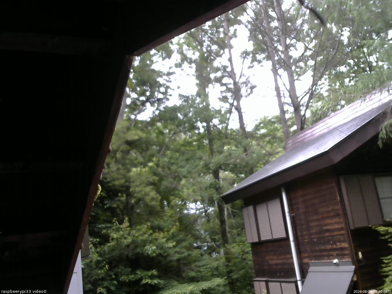 長野県菅平高原 ゆたか山荘 北側 2026/06/28 15:30