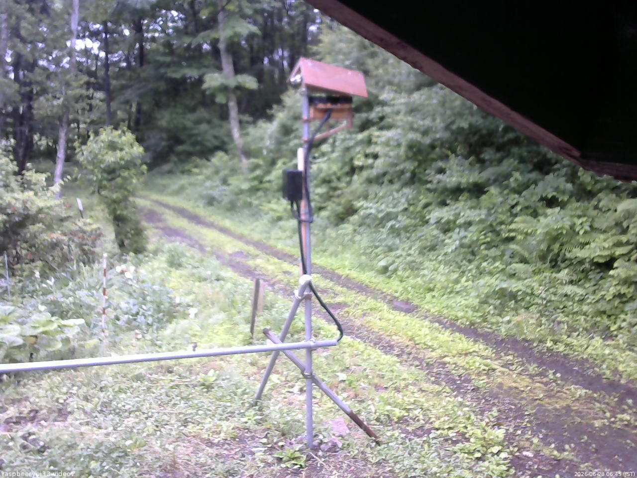 長野県菅平高原 ゆたか山荘 南側 2026/06/28 06:45