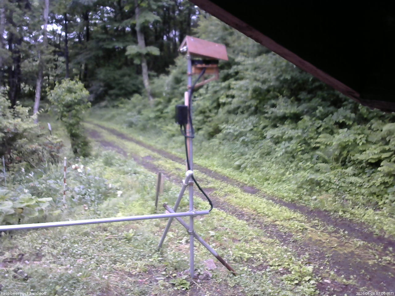 長野県菅平高原 ゆたか山荘 南側 2026/06/28 07:00