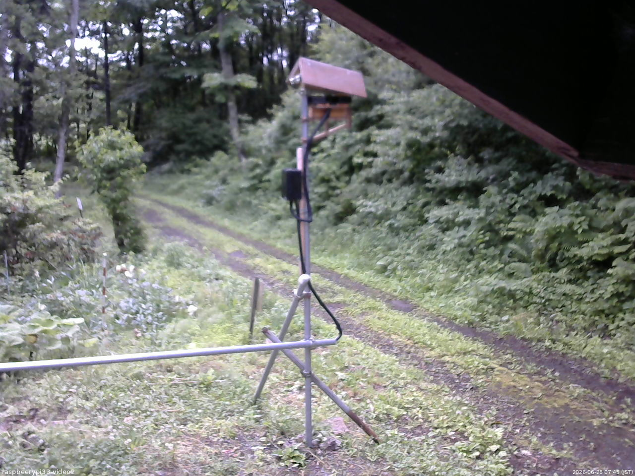 長野県菅平高原 ゆたか山荘 南側 2026/06/28 07:45