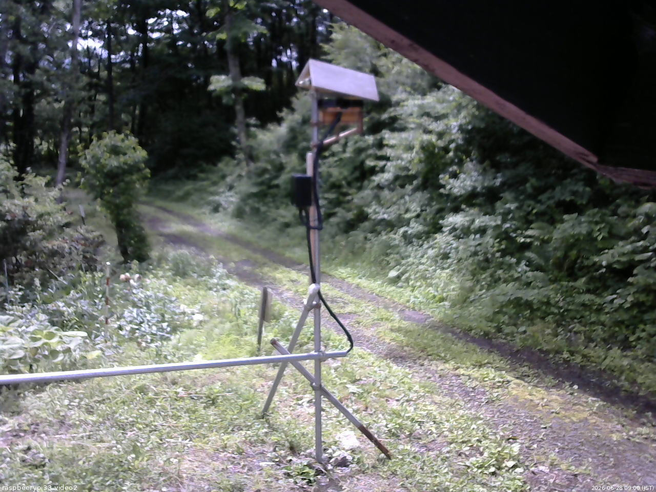 長野県菅平高原 ゆたか山荘 南側 2026/06/28 09:00