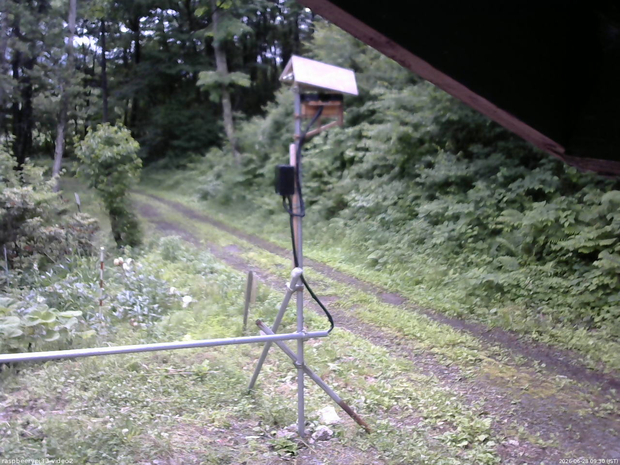長野県菅平高原 ゆたか山荘 南側 2026/06/28 09:30