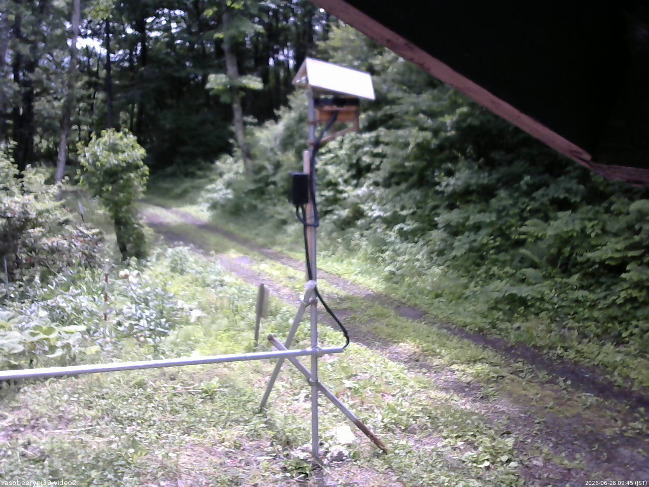 長野県菅平高原 ゆたか山荘 南側 2026/06/28 09:45