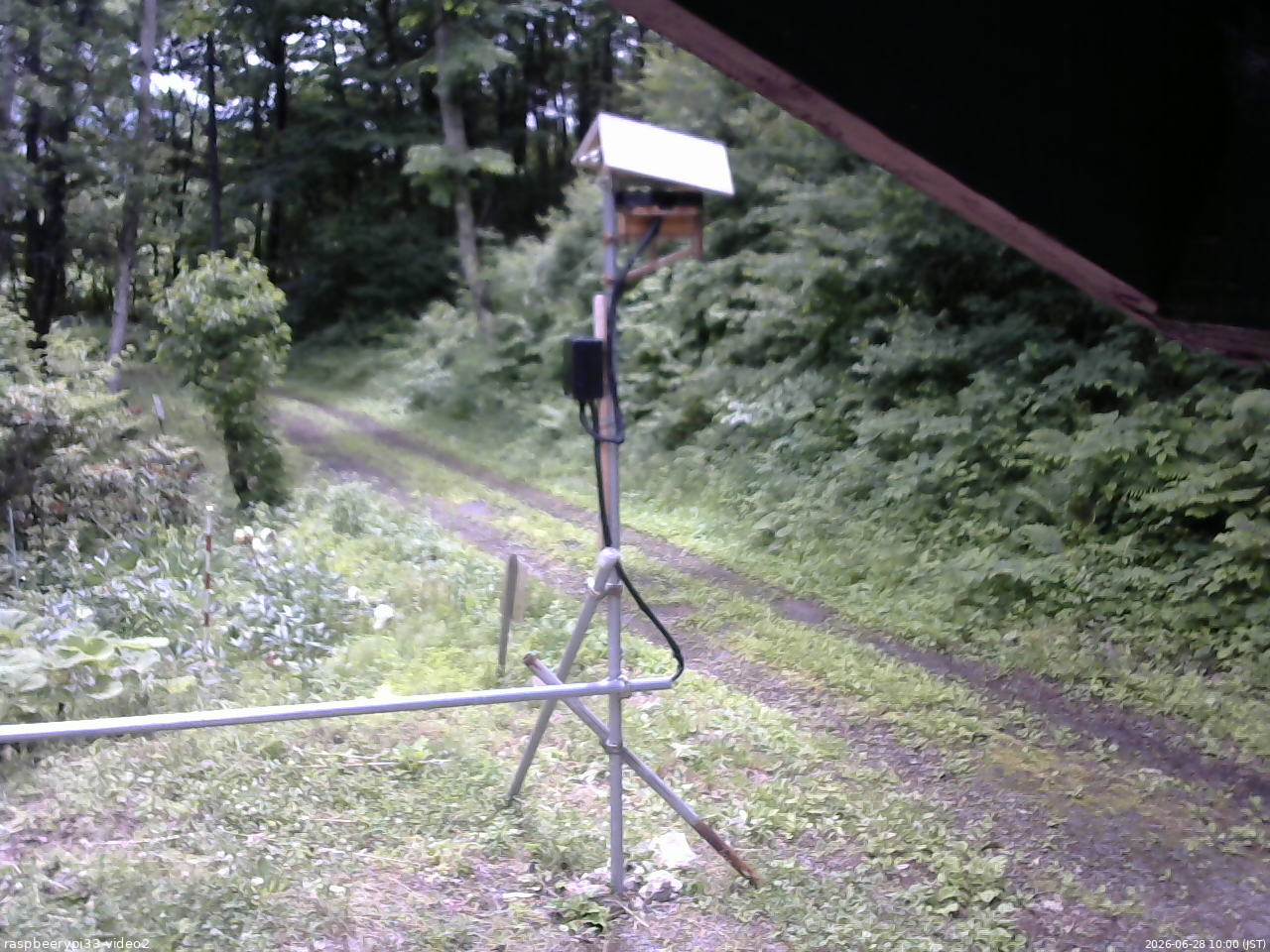 長野県菅平高原 ゆたか山荘 南側 2026/06/28 10:00