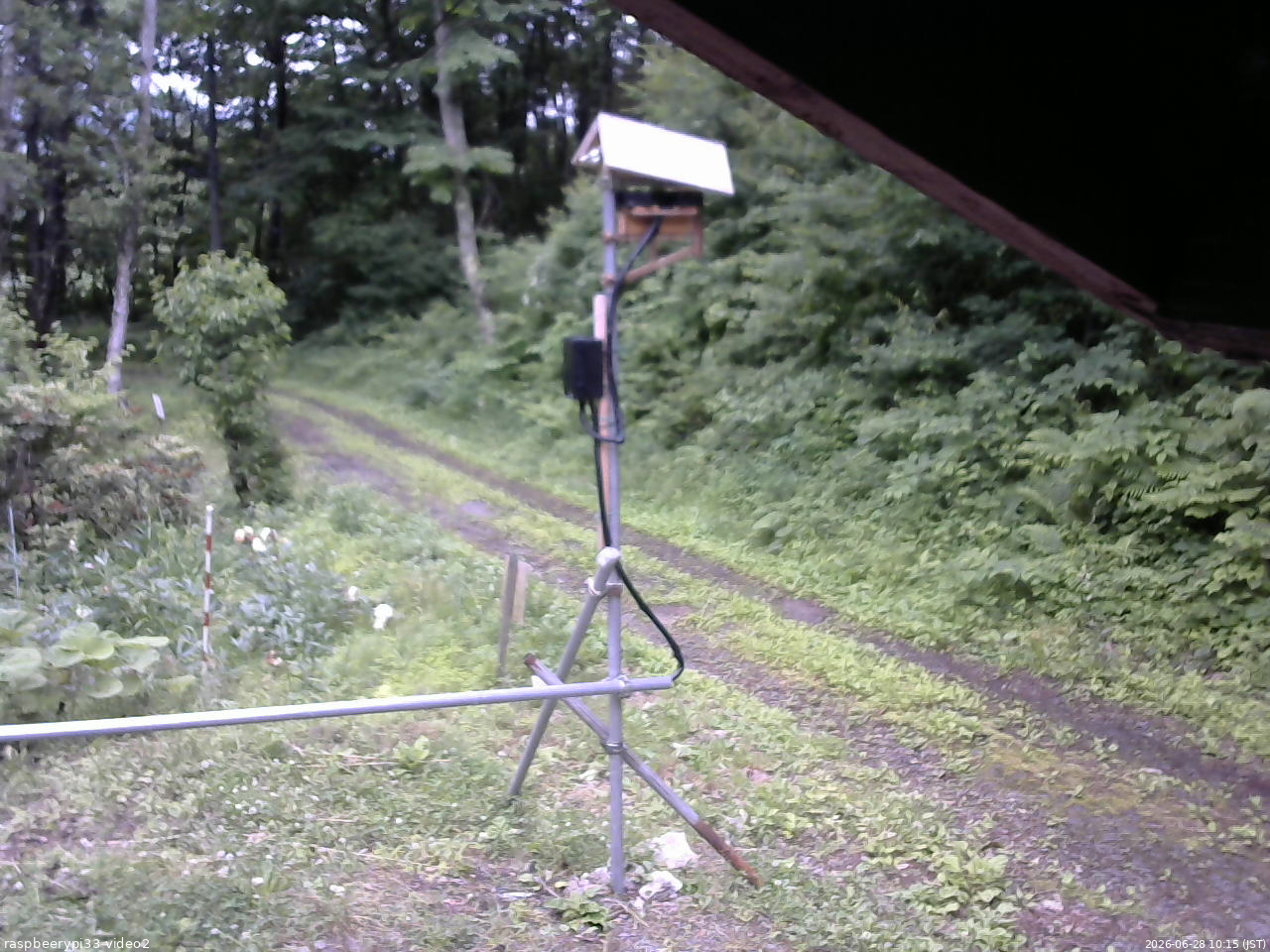長野県菅平高原 ゆたか山荘 南側 2026/06/28 10:15